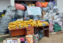 NDLEA intercepts 2.3million tabs of opioids going to 7 Northern states