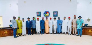 Southern governors demand state police, say it’s the only solution to insecurity