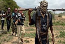 Bandits kill 5, abduct 8 others in Niger community