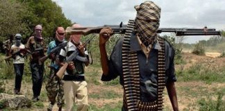 Bandits kill 5, abduct 8 others in Niger community