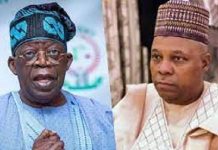 2023: Awolowo’s daughter alleges plot to eliminate Tinubu, install Shettima as president
