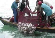 FG considers fuel supply approval to Bakassi fishermen