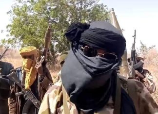 Three farmers killed, 22 others kidnapped as bandits attack Kaduna villages