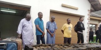 Breaking: NDLEA Makes Largest Cocaine Seizure, Recovers Drug Worth N193bn In Lagos Warehouse