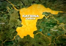 Katsina civilian JTF kills nine terrorists, arrests five