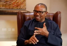My goal is to get people to trust government – Peter Obi