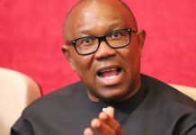2023 Presidency: Peter Obi Speaks On ‘Assassination Attempts’ In Abuja