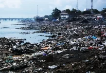 Nigerian govt to clean up 2,196 polluted hectares of shoreline