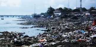 Nigerian govt to clean up 2,196 polluted hectares of shoreline