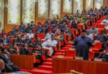 2023 budget: Senate to slash proposed N6trn import duty waiver by 50%
