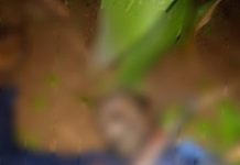 Notorious bandit leader, Musti, gunned down in Kaduna