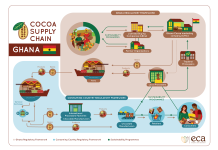 U.S. announces $22 million project to expand Nigeria’s cocoa value chain