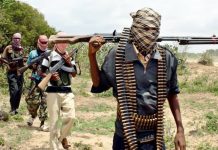 Terrorists kill police officer, set fire to his car, kidnap others in Katsina