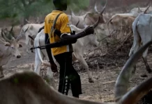 Herdsmen kill 3 in fresh Benue community attack
