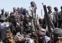 Gov’t keeps making propaganda as bandits imprison us in our own houses – Zamfara residents lament