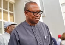 Nasarawa SME group declares support for Peter Obi