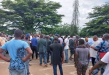 Students block the Osun highway in protest of the ongoing ASUU strike
