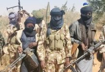 Terrorists kill two, abduct 20 in Niger hospital