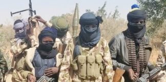Terrorists kill two, abduct 20 in Niger hospital