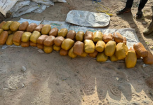 Troops intercept 98 parcels of cannabis in Yobe