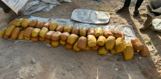Troops intercept 98 parcels of cannabis in Yobe
