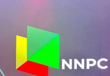 NNPC: Nigeria to take final investment decision on $25bn gas pipeline next year