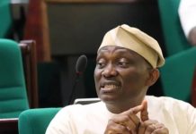 Ndudi Elumelu: Honour For A Lawmaker With Heart For The People