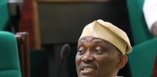 Ndudi Elumelu: Honour For A Lawmaker With Heart For The People