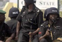 In Katsina, police apprehend 1,503 suspects and kill 27 bandits