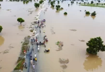 Report: Over 300 Nigerians killed in floods in 2022