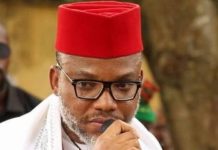 Nnamdi Kanu: From extradition to release