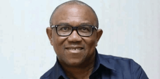 How PDP’s Anyim, Ihedioha, others, can be useful for Peter Obi – Metuh