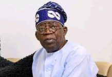 Termite: You’re dazed by Atiku’s popularity – PDP replies Tinubu