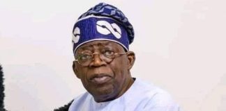 Termite: You’re dazed by Atiku’s popularity – PDP replies Tinubu