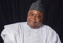 2023 presidency: Yoruba should not be selfish – Adebutu