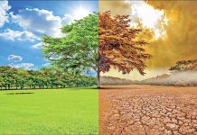 Experts urge FG to add climate change to school curriculum