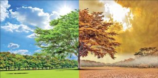 Experts urge FG to add climate change to school curriculum