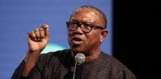 Peter Obi reacts as LP Zonal Chairman dies in Kaduna auto crash