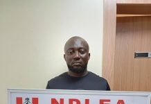 NDLEA INTERCEPTS COLOS CONSIGNMENT IN BOXING KITS ON NEW YEAR DAY