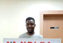 NDLEA INTERCEPTS LARGE CONSIGNMENT OF CANADIAN LOUD IN LAGOS, UK, ITALY-BOUND OPIOIDS