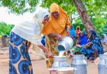 FrieslandCampina-led Value4Dairy Consortium Gets $5m Grant To Boost Dairy Production