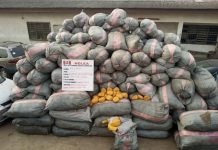 NDLEA LAUNCHES MASSIVE RAIDS IN LAGOS, EDO, ONDO, SEIZES 44,948KG DRUGS, 11 VEHICLES