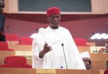 Has Delta North Felt the Impacts of Senator Ned Nwoko in His First Year as the Senator Representing Delta North Senatorial District?
