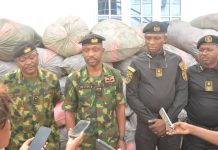 Nigerian Navy Intercepts 3.3 Tonnes of Cannabis Sativa, Hands Over to NDLEA