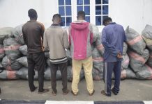 NNS BEECROFT INTERCEPTS 72 BAGS OF CANNABIS SATIVA, HANDS OVER SUSPECTS, EXHIBITS TO NDLEA