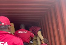 NDLEA intercepts 31 million pills, bottles of opioids worth N17.9billion at Lagos, PH ports
