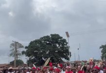 Issele-Uku’s Ine Festival: A Beacon of Anioma Cultural Identity