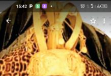 Badagry Set to Host Vibrant Cultural Events: Celebrating Heritage and Unity