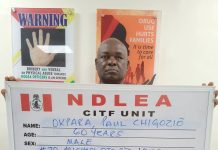 After 7 years on the run, NDLEA arrests wanted drug kingpin with 11.6kg cocaine, meth