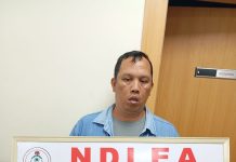 Chinese bizman, 80-yr-old grandma arrested as NDLEA seizes Colos in moimoi sachets